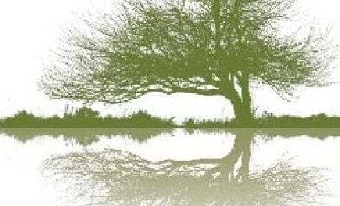 Solace Counseling Services 11304 Edgewater Dr STE D, Allendale Michigan 49401