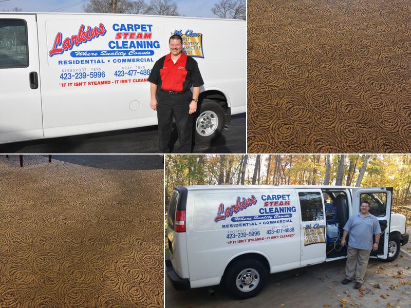 Larkins Carpet Steam Cleaning