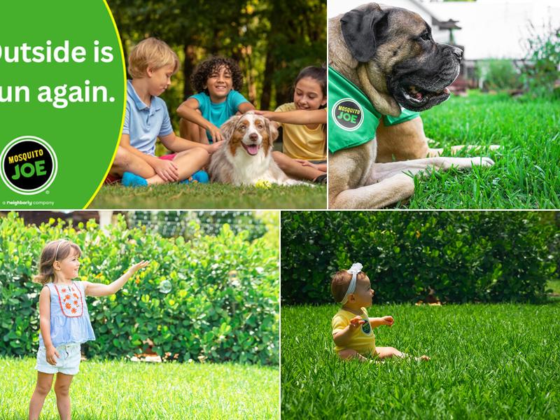 Mosquito Joe of Topeka-Lawrence