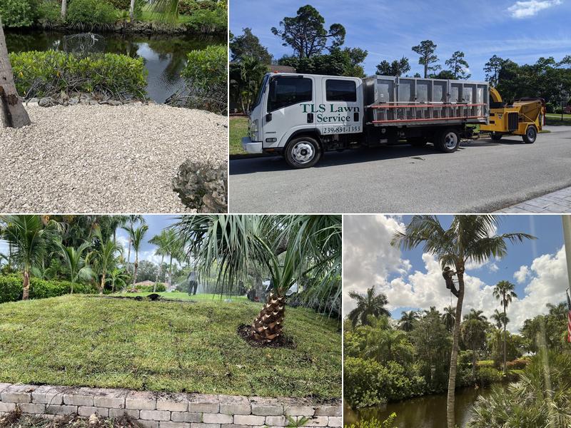 TLS Lawn & Tree Service