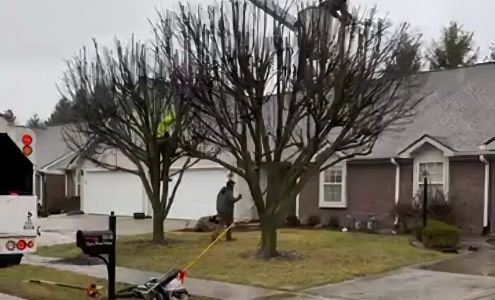 Artistic Touch Tree Service Clayton