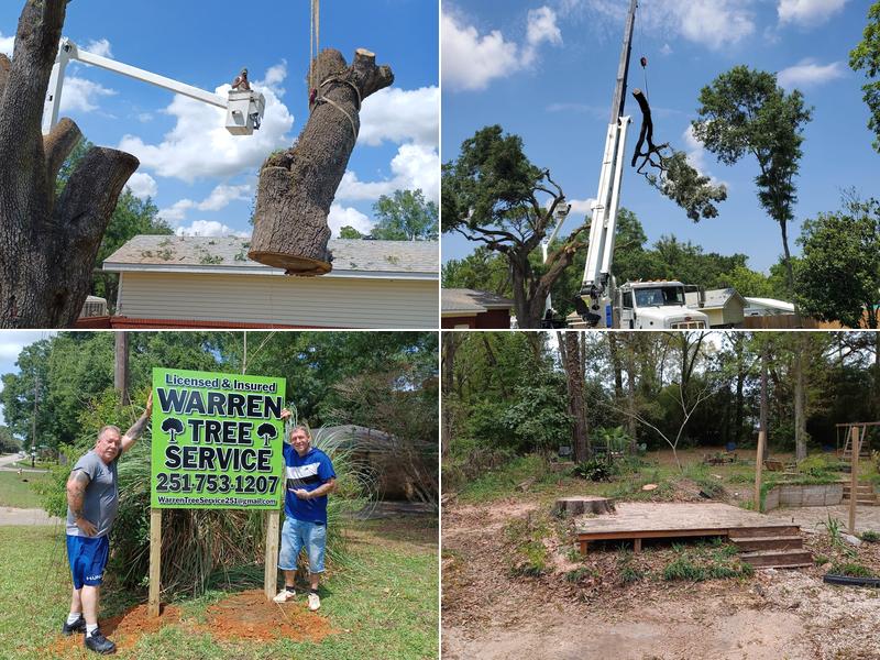 Warren Tree Service