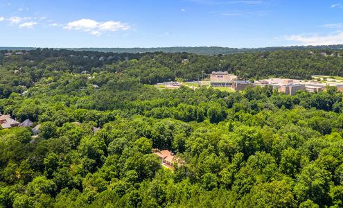 Zac Kennedy • Creator of 