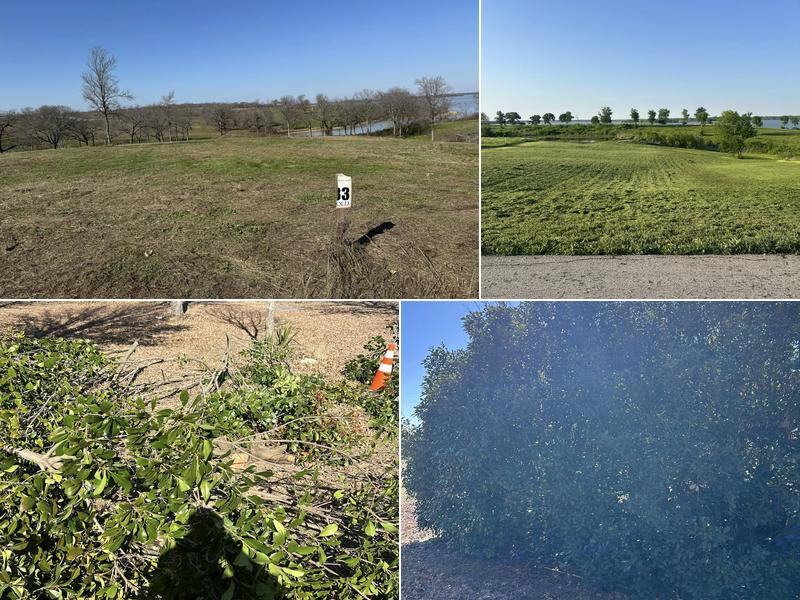 Rusty's Lawn Services