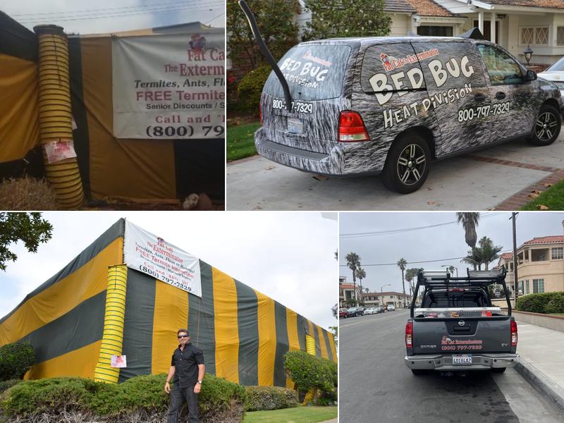 Donatelli's Fat Cat Extrmntrs