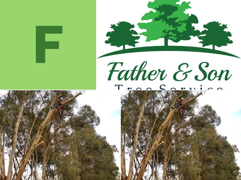 Father & Son Tree Service