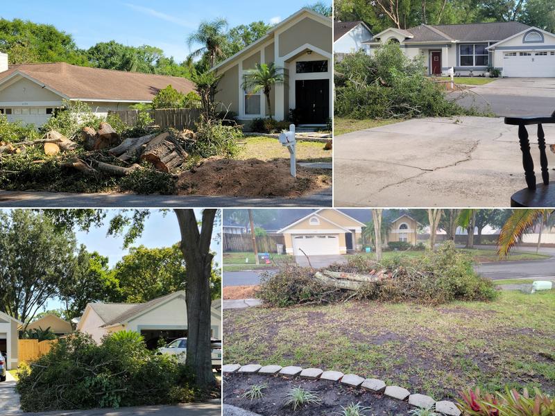 Southern Turf Management