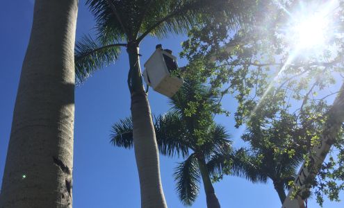 Budget Tree Company 908 E Easy St, Fort Pierce Florida 34982