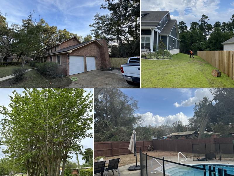 Kenneth Nobles Tree Services