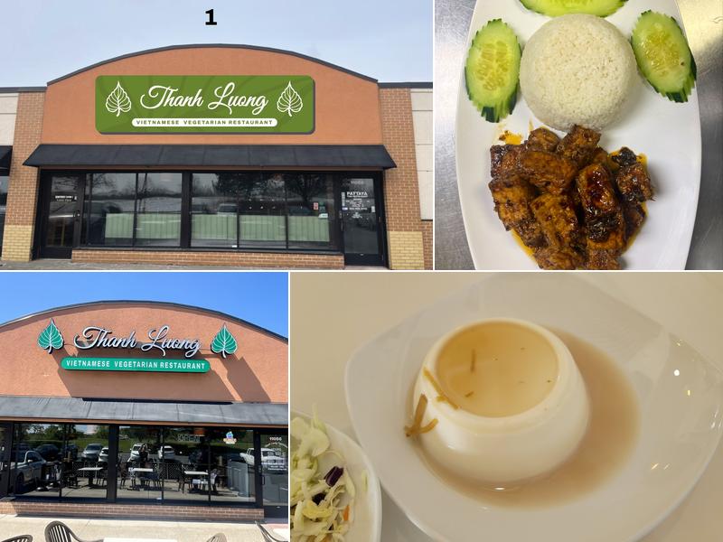 Thanh Luong Vegetarian