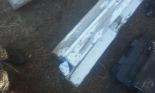 The Tree Service 326822 Highway 2, Newport Washington 99156