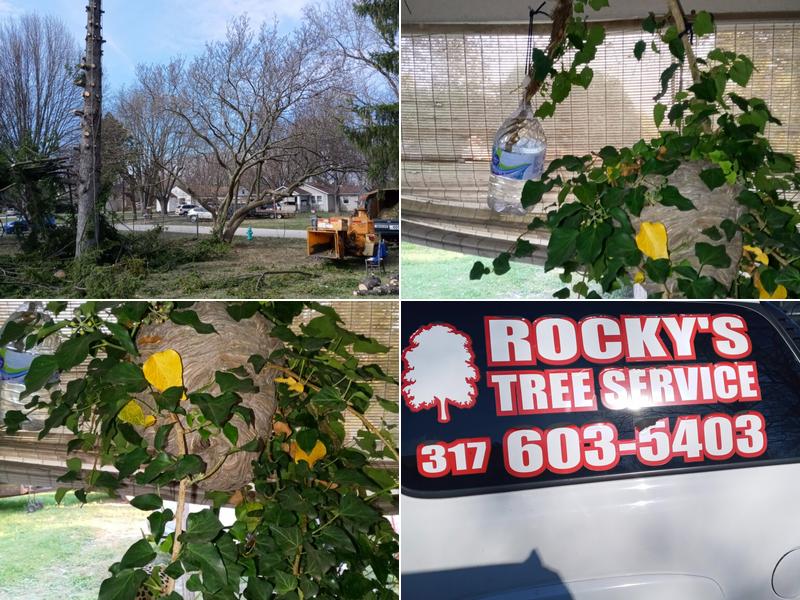 Rocky's Tree Service
