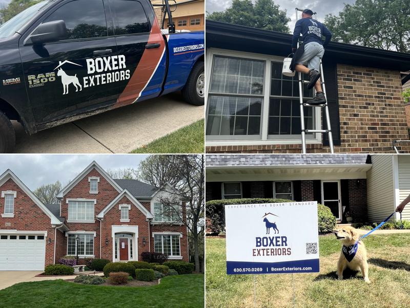 Boxer Exteriors