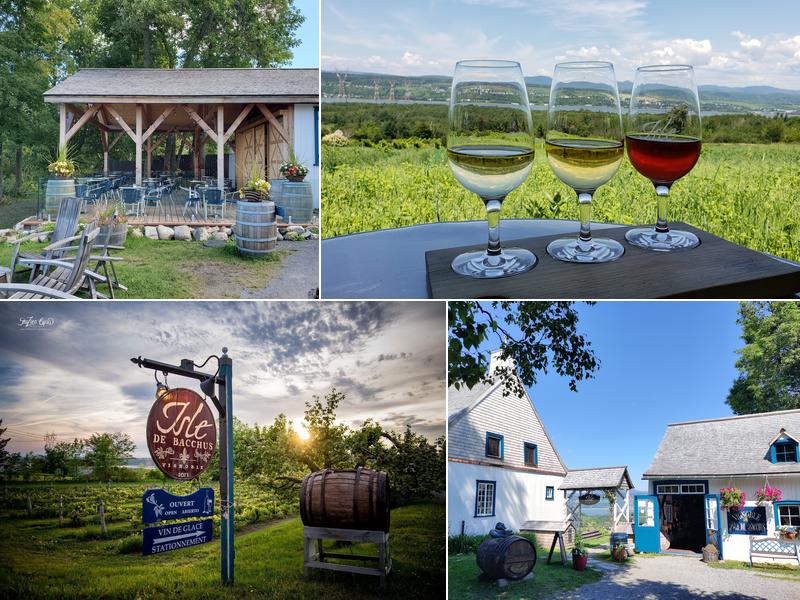 Vignoble Isle de Bacchus