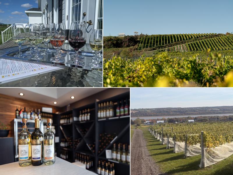 Domaine L'Ange Gardien - Winery & Cidery