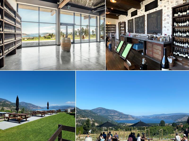 Black Swift Vineyards