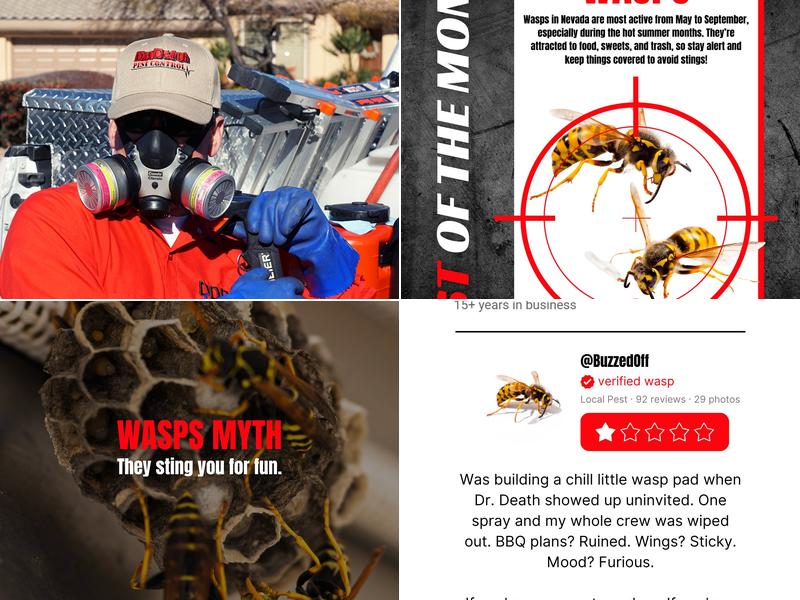 Dr. Death Pest Control