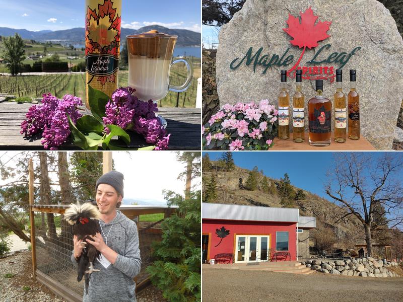 Maple Leaf Spirits Inc.