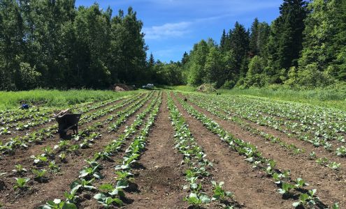 Les Produits Tapp Gaspe