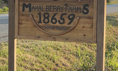 Mahal Berry Farms Pitt Meadows