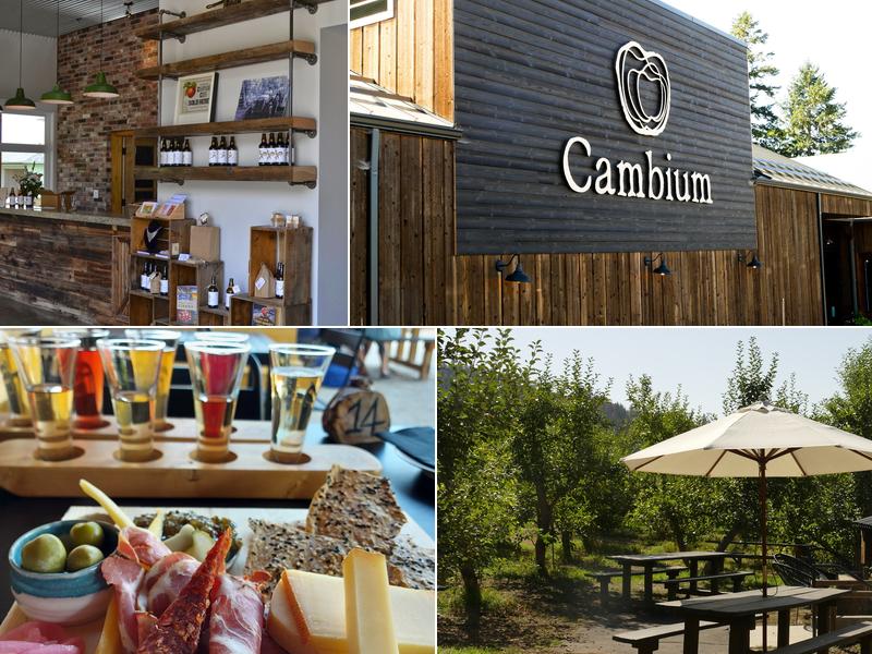 Cambium Cider Co 4667 E Vernon Rd, Vernon