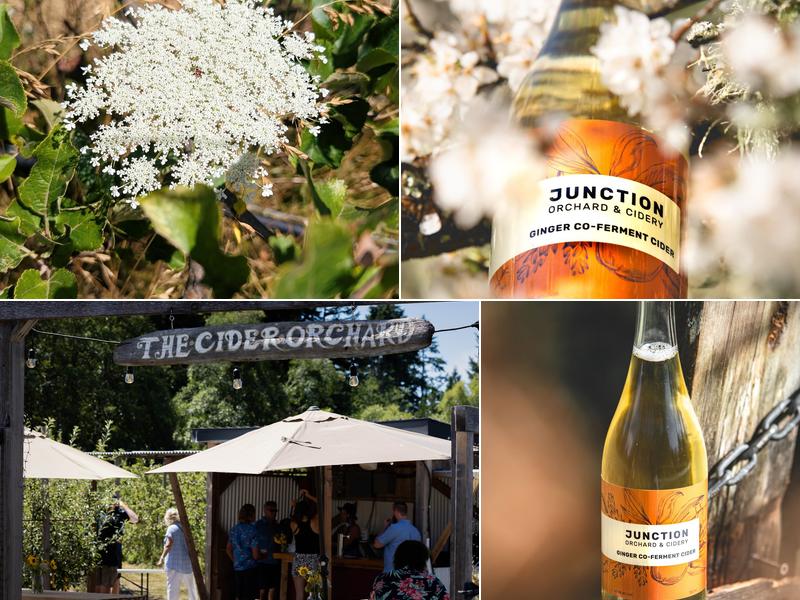 Junction Orchard & Cidery