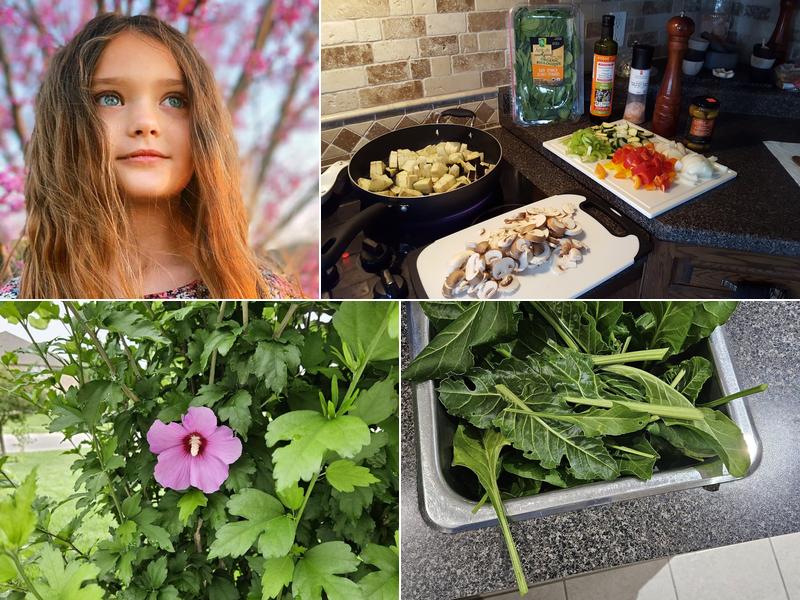 Healthy Well and Wise Nutrition and Supplements