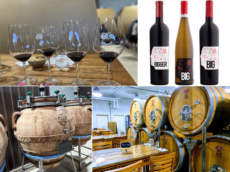 Big Head Wines 823 Line 6 Rd, Niagara-on-the-Lake