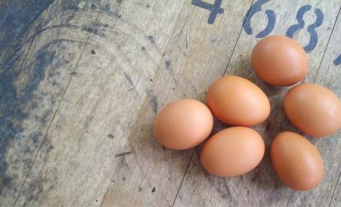 Coghlan Cottage Farm