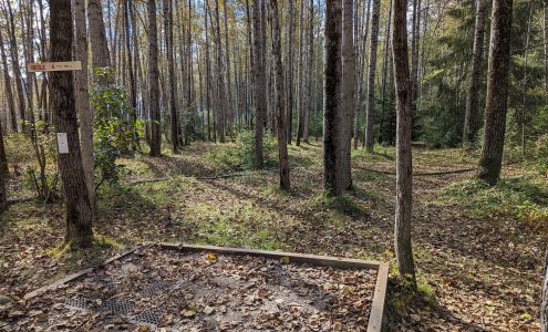 Seven Pastures Disc Golf Course Skagway