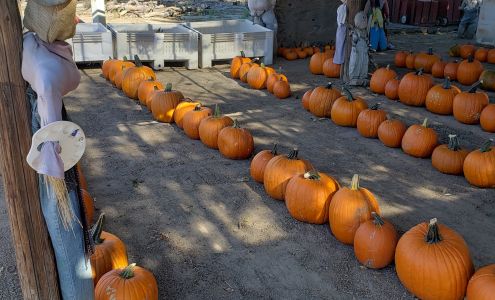 Lombardi Ranch Green Valley