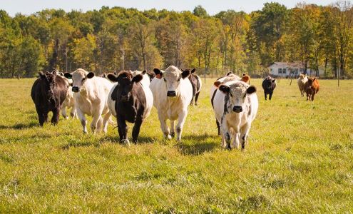 Bodwéwadmi Ktëgan - Forest County Potawatomi Farm Laona
