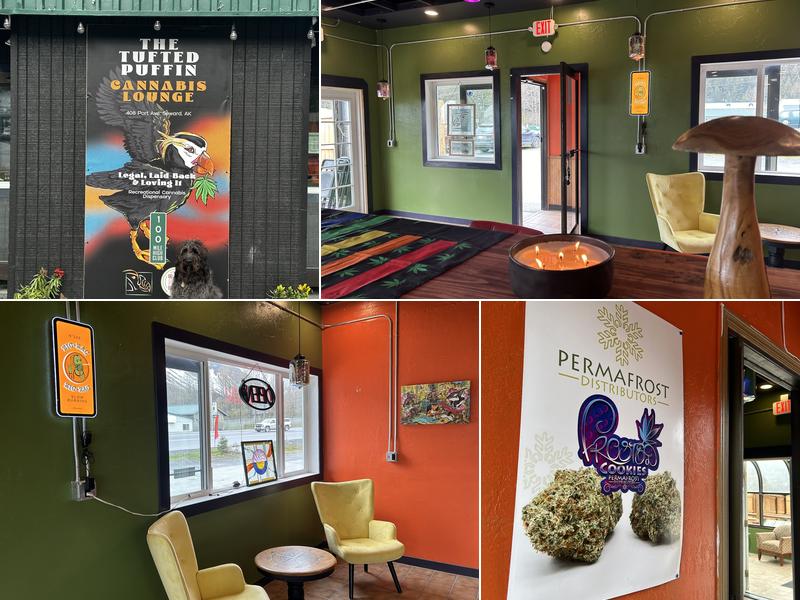 The Tufted Puffin - Seward, Alaska Harbor