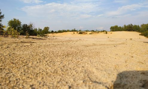 Bleuets Mistassini Ltée (Les) Dolbeau-mistassini