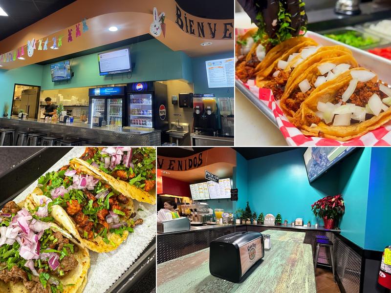 Señor Taco Mexican Grill