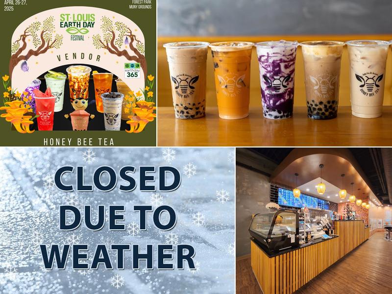 Honey Bee Tea - Oakville