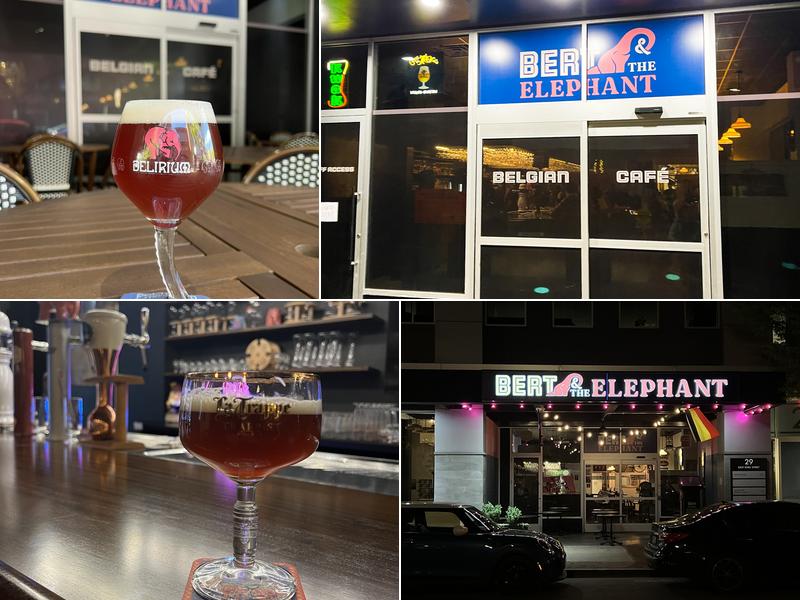 Bert & The Elephant 29 E King St, Lancaster