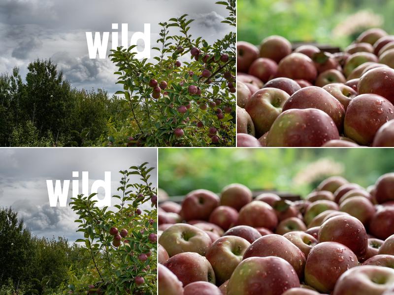 WILD 2 Crocker Rd, Kingston