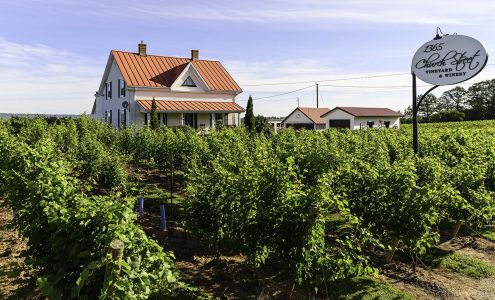 1365 Church Street Vineyard & Winery Port Williams