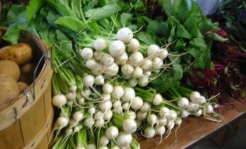 Elmridge Farm Centreville