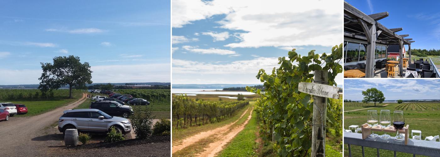 Blomidon Estate Winery