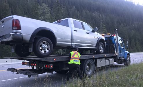 Selkirk Service Golden