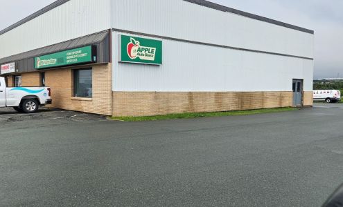 Apple Auto Glass Mount Pearl Mount Pearl