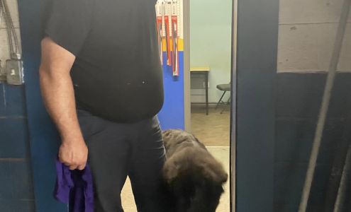 NAPA AUTOPRO - Mike's Auto Repair Ltd Winterton