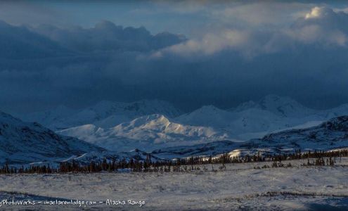 Sause Family Transmission