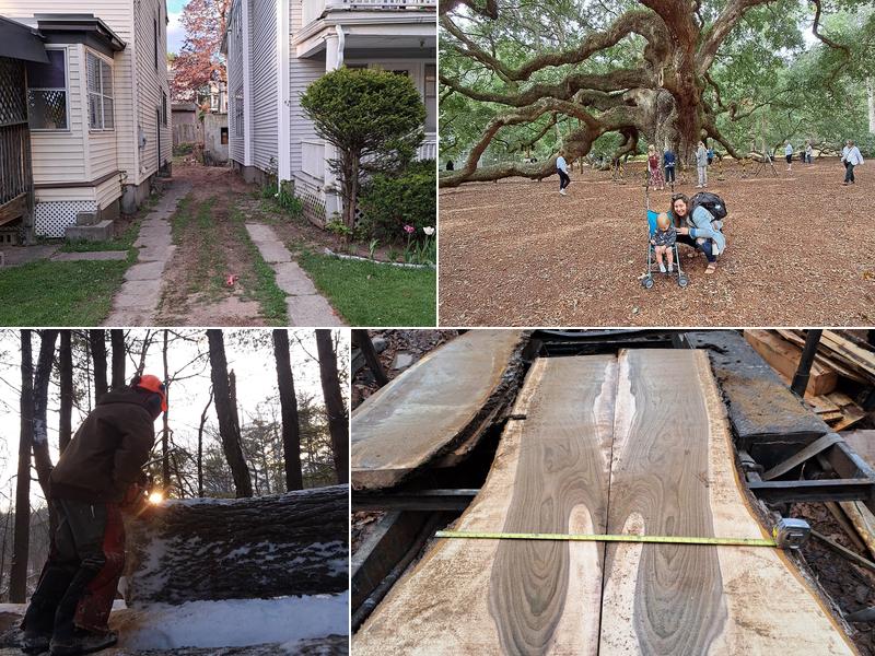 Arbor-Works Tree Service