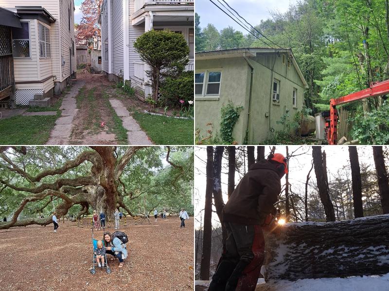Arbor-Works Tree Service