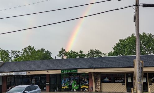 Blue Ribbon Custom Frame Shop Hendersonville