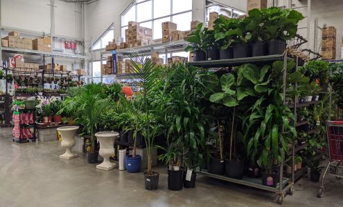 Lowe's Garden Center