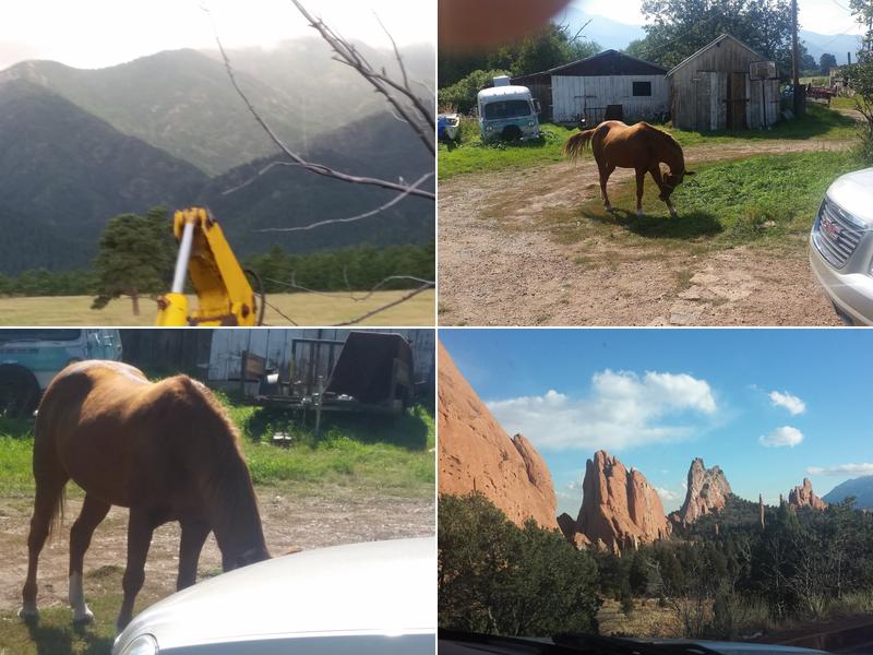 Spectrum Plumbing & Heating